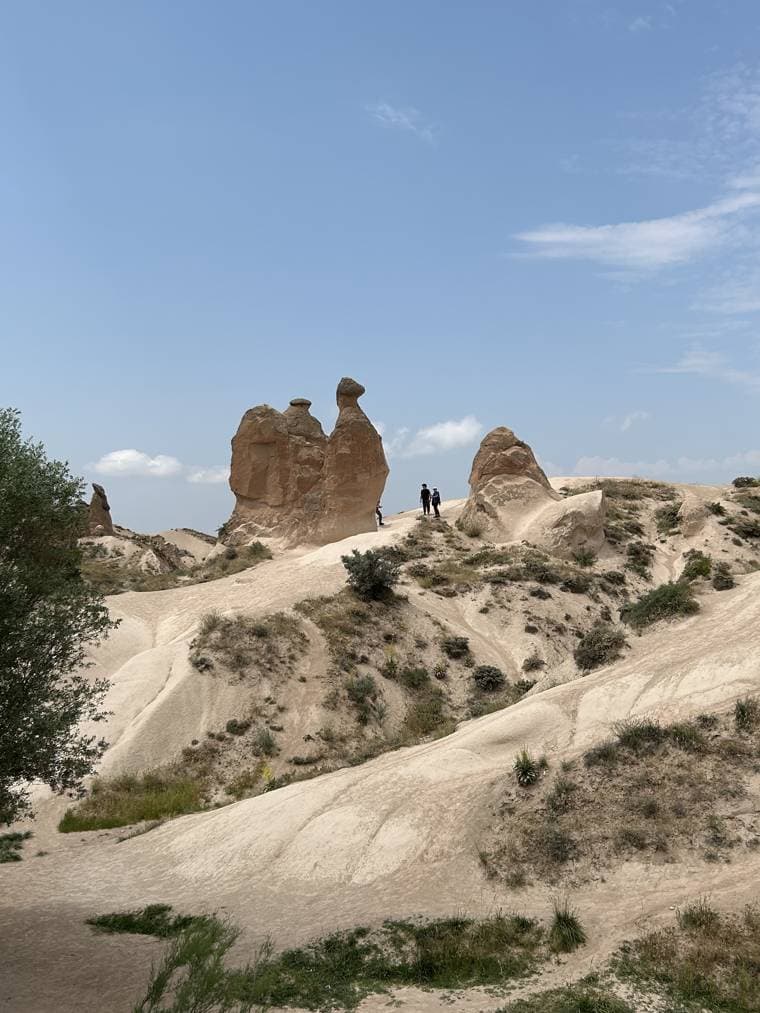 Camel-shaped rock formation