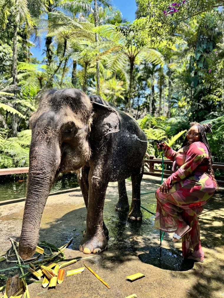 Mason Elephant Park